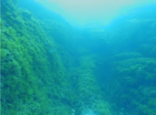 oceans23.png